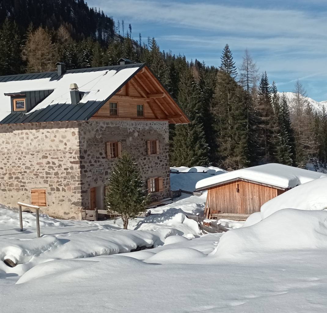 natale-a-trento-casette-50-la-casetta-del-rifugio-cauriol